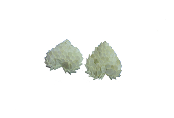 Mud glass