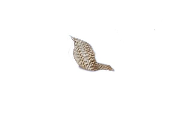 Mud glass