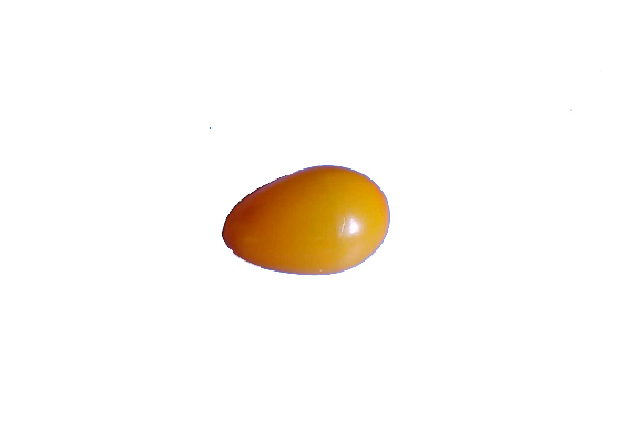Mud glass